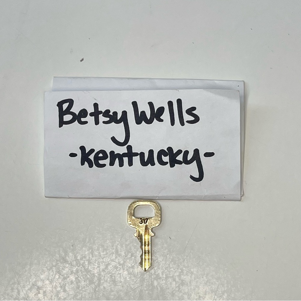 Authentic Louis Vuitton spare key 317 🔑